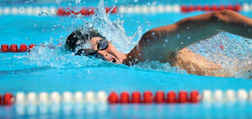 natation musculation