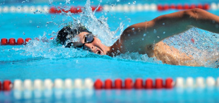 natation musculation