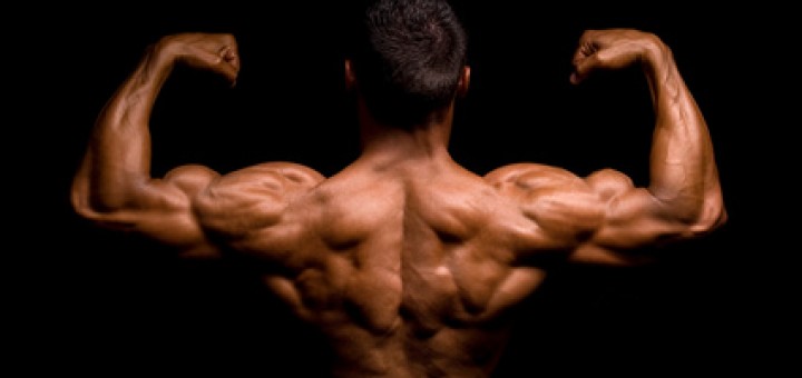 Musculation Dos